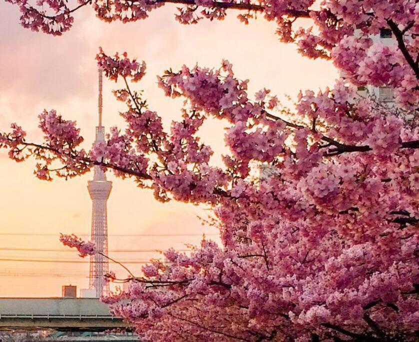 5Mins From Jr Kinshicho! Near Asakusa&Skytree! Tokyo Luaran gambar